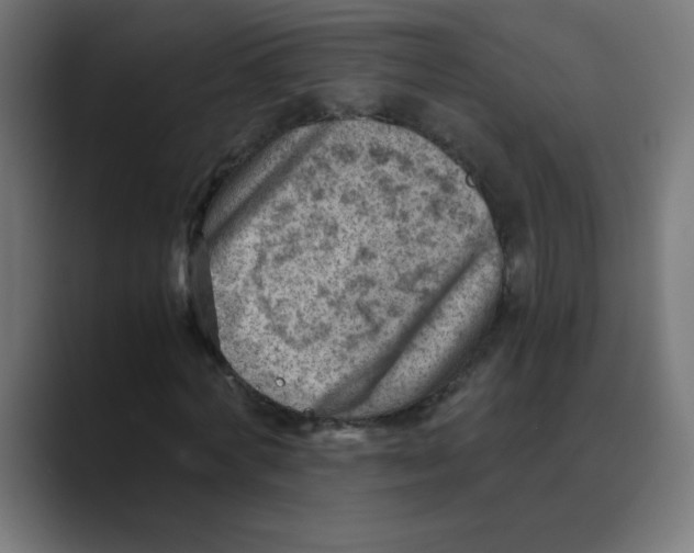 X0000088440772200706191252