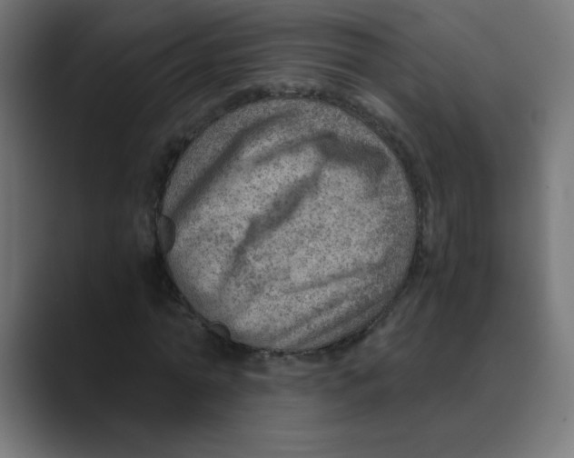 X0000088440774200706191252