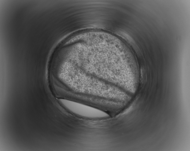 X0000088440780200706191252