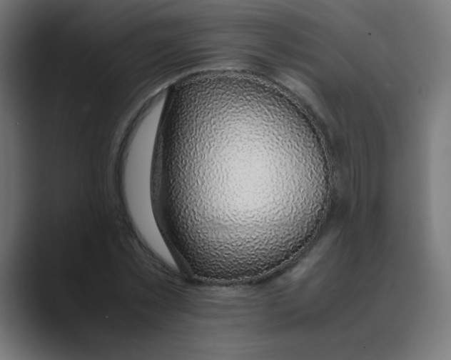 X0000088440781200706191252