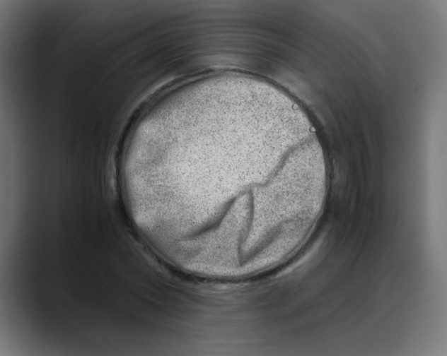 X0000088440782200706191252