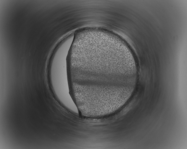 X0000088440783200706191252