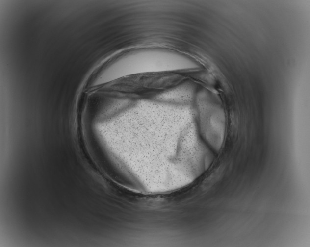 X0000088440784200706191252