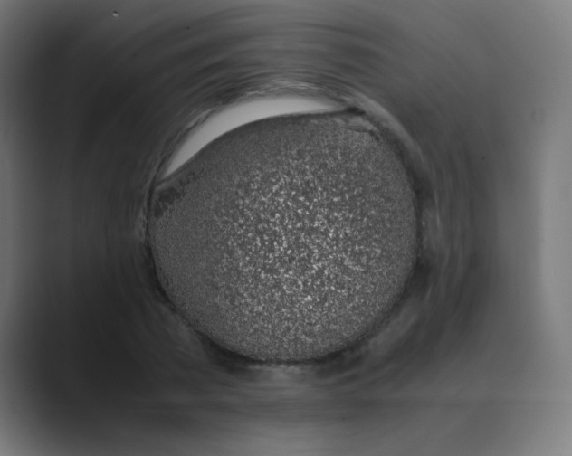 X0000088440785200706191252