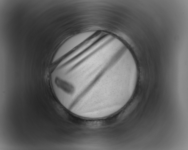 X0000088440793200706191252