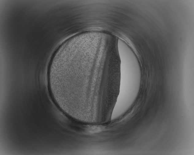 X0000088440795200706191252