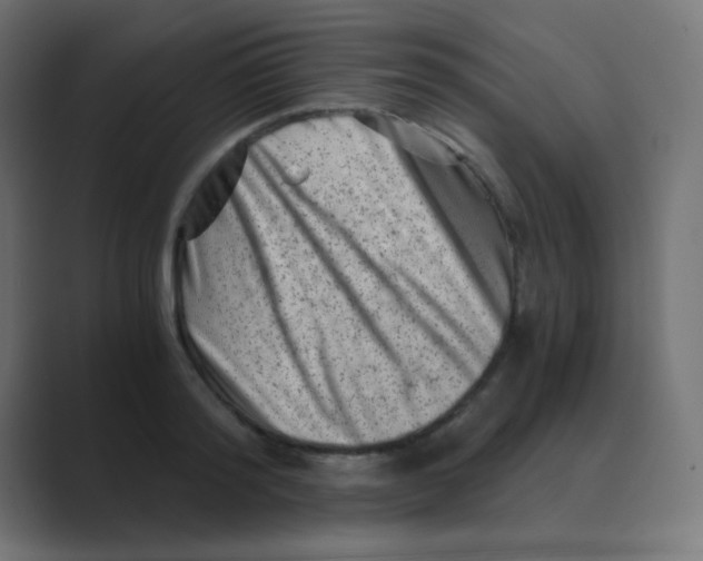 X0000088440796200706191251