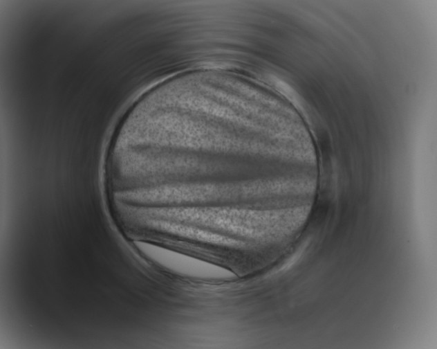 X0000088440803200706191251