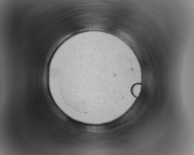 X0000088440804200706191251