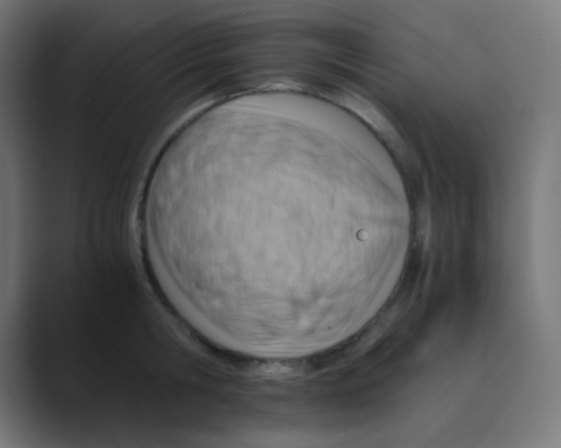 X0000088440806200706191251