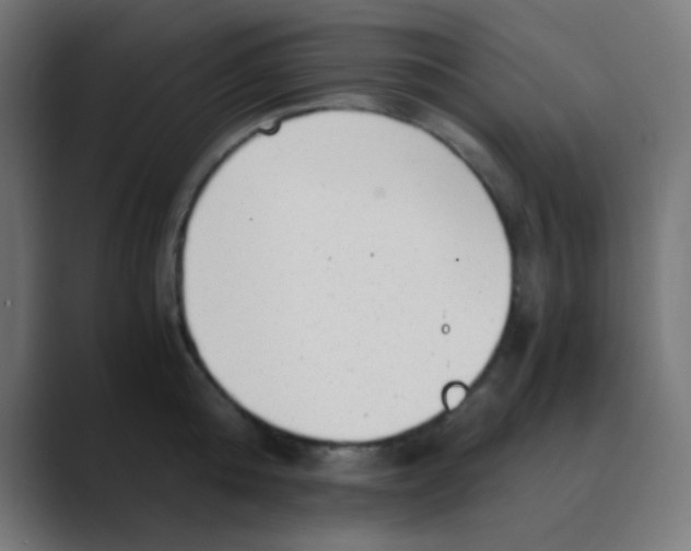 X0000088440808200706191251