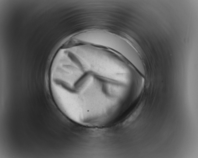 X0000088440812200706191251