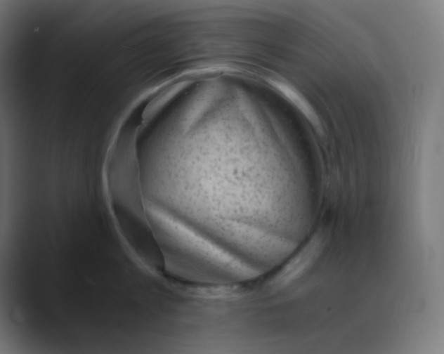 X0000088440813200706191251