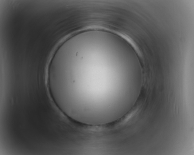 X0000088440815200706191251