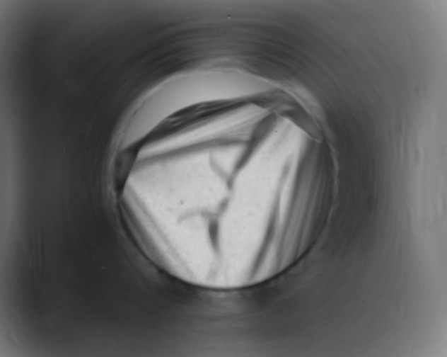 X0000088440816200706191251