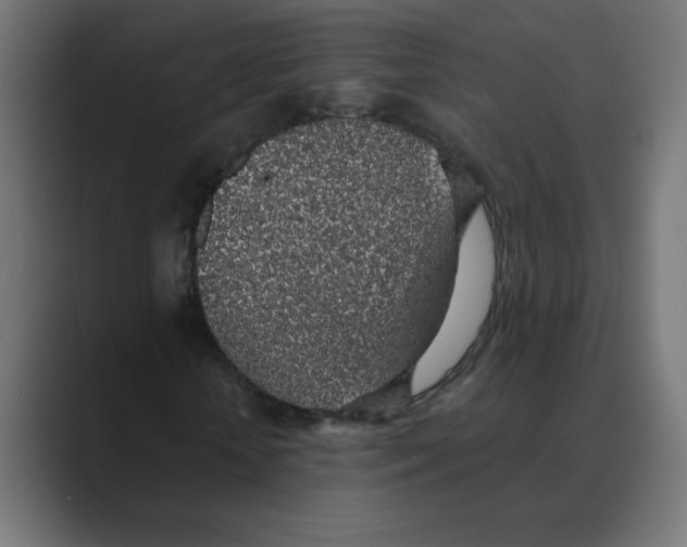 X0000088440818200706191251