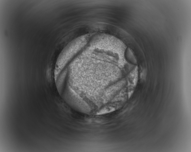 X0000088440819200706191251