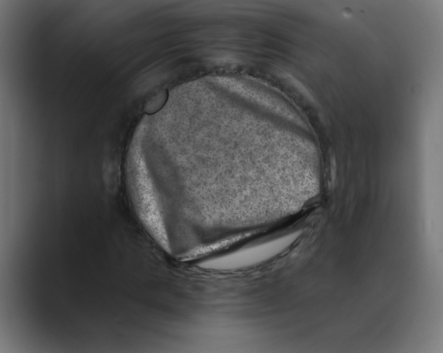 X0000088440821200706191251