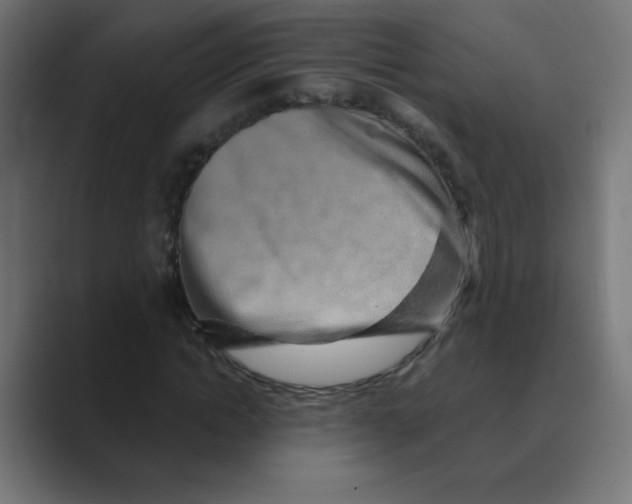 X0000088440822200706191251