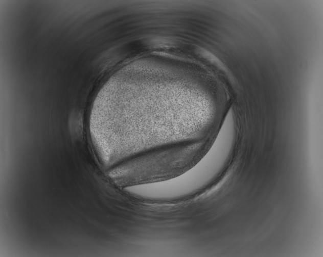 X0000088440825200706191251