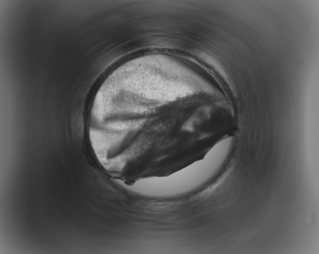 X0000088440829200706191251