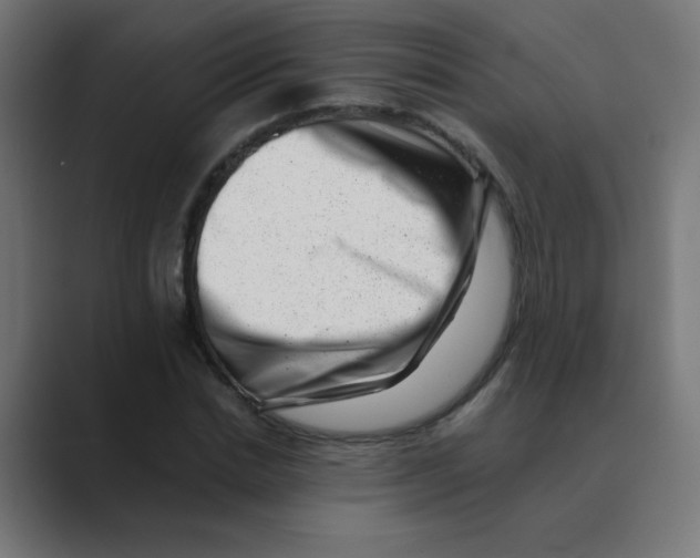 X0000088440830200706191251