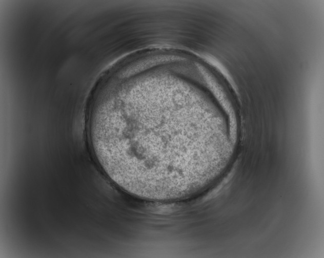 X0000088440831200706191251