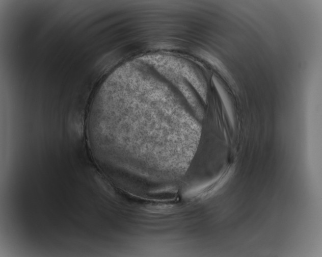 X0000088440833200706191251