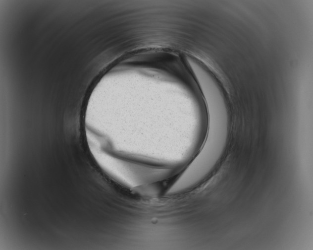 X0000088440834200706191251