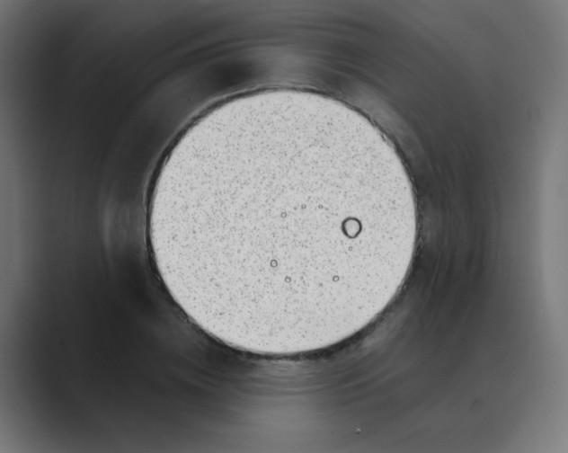 X0000088440836200706191251