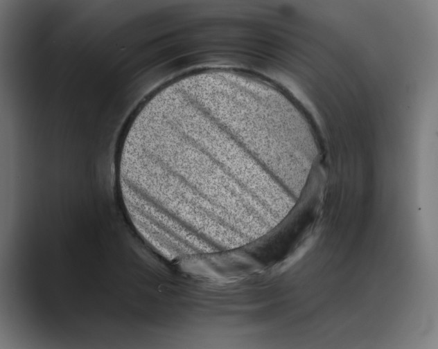 X0000088440837200706191251