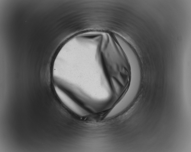 X0000088440838200706191251