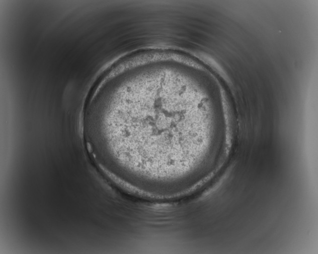 X0000088440839200706191251