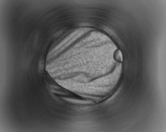 X0000088440841200706191251