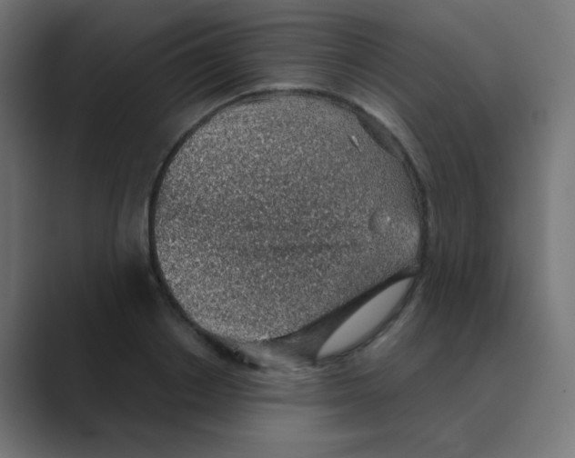 X0000088440842200706191251