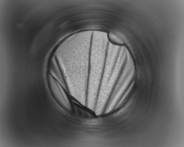 X0000088440843200706191251