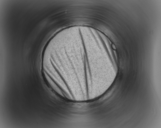 X0000088440844200706191251