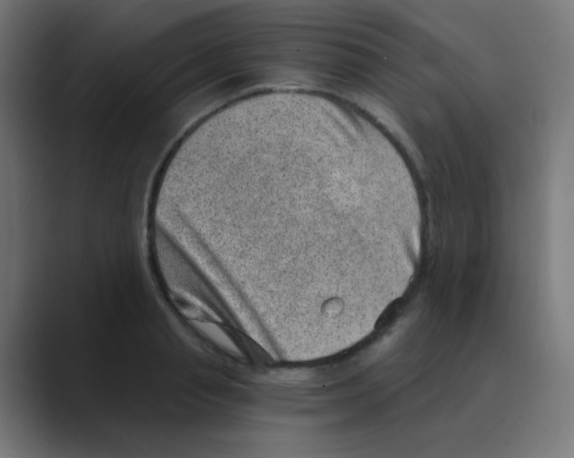 X0000088440845200706191251