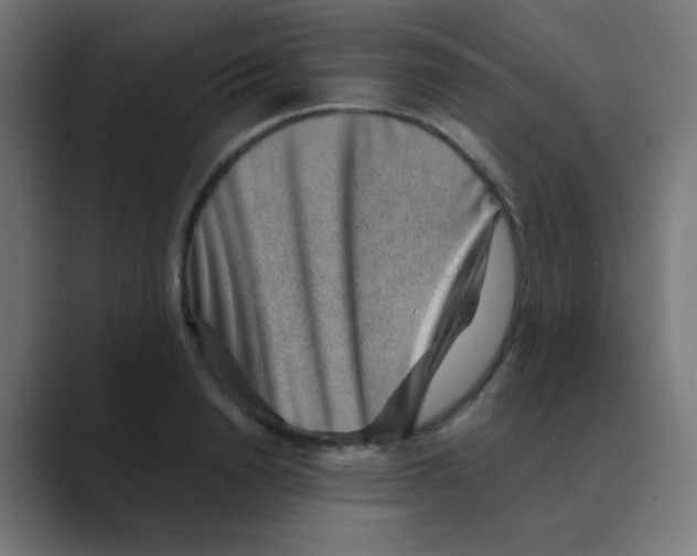 X0000088440846200706191251