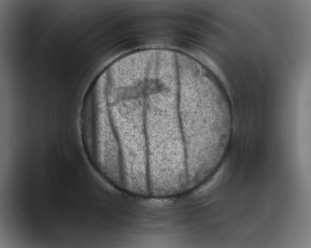 X0000088440847200706191251