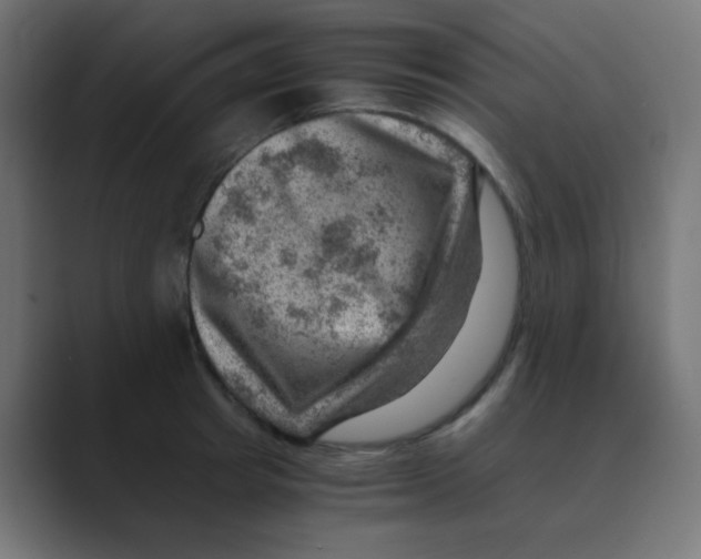 X0000088440849200706191251