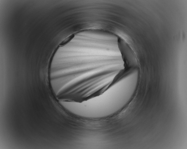 X0000088440850200706191251