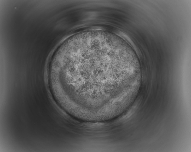 X0000088440851200706191251