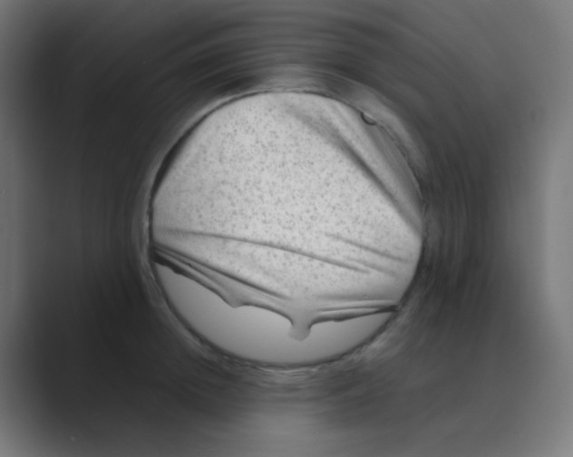 X0000088440852200706191251