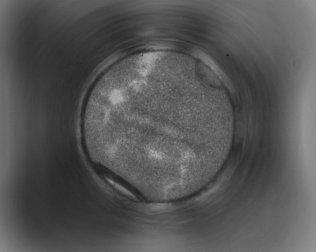 X0000088440853200706191251