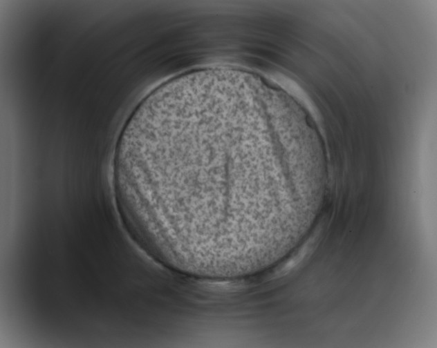 X0000088440855200706191251