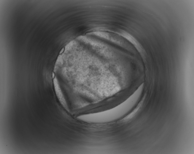 X0000088440857200706191251