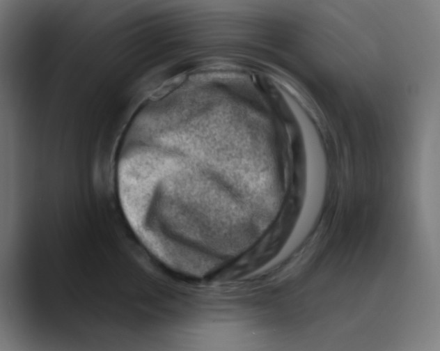 X0000088440858200706191251