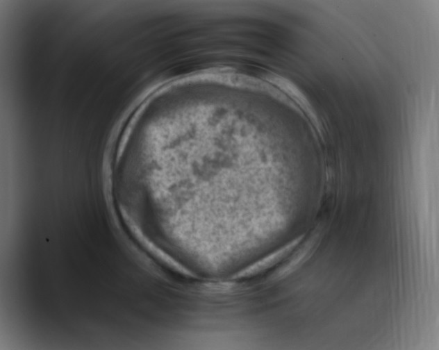 X0000088440859200706191251