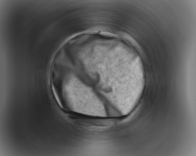 X0000088440860200706191251